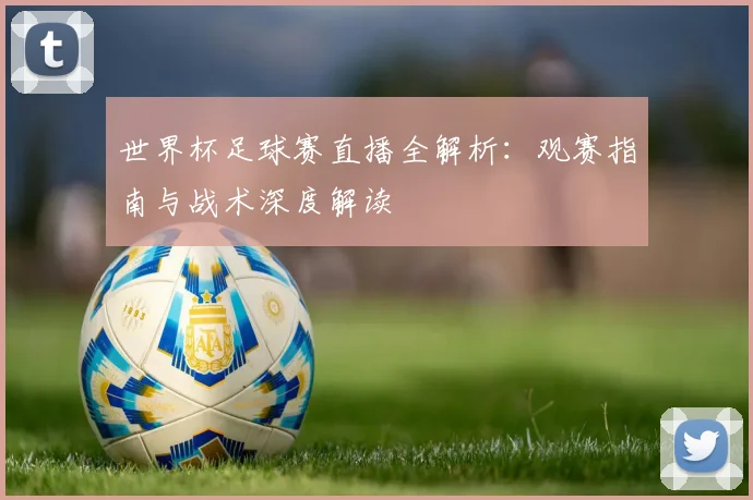世界杯足球赛直播全解析：观赛指南与战术深度解读